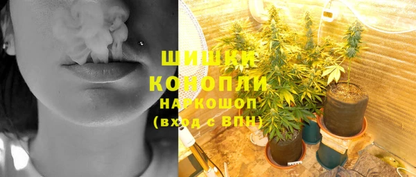 mdpv Щигры