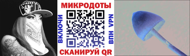 Псилоцибиновые грибы MAGIC MUSHROOMS  Зерноград 