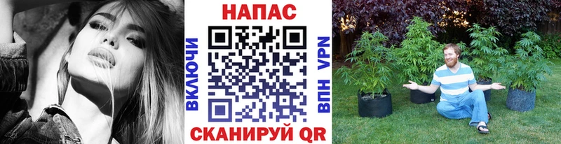 МАРИХУАНА планчик  купить   omg ТОР  Зерноград 
